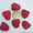 Продам саженцы малины крупноплодной, деревовидной, Запорожская обл. - <ro>Изображение</ro><ru>Изображение</ru> #2, <ru>Объявление</ru> #954047