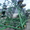 John Deere 960 10,5 м культиватор Джон Дир 960 - <ro>Изображение</ro><ru>Изображение</ru> #2, <ru>Объявление</ru> #955782