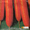 морковь Перфекция #953757