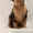 Котята канадского сфинкса. - <ro>Изображение</ro><ru>Изображение</ru> #4, <ru>Объявление</ru> #1041638