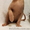Котята канадского сфинкса. - <ro>Изображение</ro><ru>Изображение</ru> #5, <ru>Объявление</ru> #1041638
