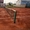 Профессиональный теннисный корт на берегу моря участок под постройку - <ro>Изображение</ro><ru>Изображение</ru> #2, <ru>Объявление</ru> #1129628