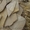 Гранит, мрамор, песчаник, оникс, травертин, природный камень Запорожье - <ro>Изображение</ro><ru>Изображение</ru> #3, <ru>Объявление</ru> #1129397
