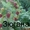 Саженцы крупноплодной малины и кубники .Высылаю по территории Украин - <ro>Изображение</ro><ru>Изображение</ru> #2, <ru>Объявление</ru> #1150307