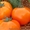 Продам семена оранжевых помидор КС18 #1322129