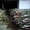 Ёлка Сосна Новогодняя2016 оптом со склада в Запорожье - <ro>Изображение</ro><ru>Изображение</ru> #5, <ru>Объявление</ru> #1339035