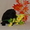 Щенки лабрадора - ретривера палевого, черного и шоколадного окрасов - <ro>Изображение</ro><ru>Изображение</ru> #2, <ru>Объявление</ru> #1354209