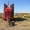 Сеялка зерновая HORSCH Pronto 9DC без внесения удобрений,  2011 г.в  #1366682