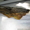 Продам сома мраморного живого свежемороженного, а так же копченного - <ro>Изображение</ro><ru>Изображение</ru> #4, <ru>Объявление</ru> #1485262