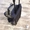 Форма хоккейная детская с сумкой и клюшкой, комплект - <ro>Изображение</ro><ru>Изображение</ru> #7, <ru>Объявление</ru> #1579697