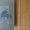 Медведев Тарантул 1957 БПНФ золотая рамка Детгиз литература  - <ro>Изображение</ro><ru>Изображение</ru> #4, <ru>Объявление</ru> #1593115