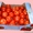 Картонный лоток под овощи по оптовым ценам  - <ro>Изображение</ro><ru>Изображение</ru> #5, <ru>Объявление</ru> #1689329