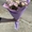 Букети хризантем з доставкою від крамниці квітів “Flowers Story” у Запоріжжі - <ro>Изображение</ro><ru>Изображение</ru> #3, <ru>Объявление</ru> #1743834