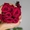 25 чарівних троянд - ідеальний квітковий презент! #1744149