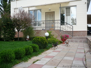 ясли-сад для собак - <ro>Изображение</ro><ru>Изображение</ru> #1, <ru>Объявление</ru> #90207