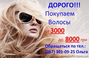 Дорого покупаем волосы! - <ro>Изображение</ro><ru>Изображение</ru> #1, <ru>Объявление</ru> #470106