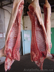 Мясо свинины в полутушах охлажденное - <ro>Изображение</ro><ru>Изображение</ru> #1, <ru>Объявление</ru> #484548