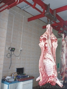 Весы монорельсовые, весы для животных (свиней) – АКСИС - <ro>Изображение</ro><ru>Изображение</ru> #3, <ru>Объявление</ru> #588228