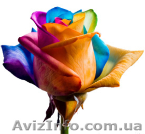 Продается готовый бизнес - бренд 'Power of Flowers' - <ro>Изображение</ro><ru>Изображение</ru> #1, <ru>Объявление</ru> #649702