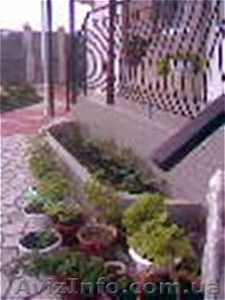 Недорогой отдых! Крым!