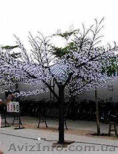  	 Дерево сакура LED белое (1.8м ) светодиодное - <ro>Изображение</ro><ru>Изображение</ru> #2, <ru>Объявление</ru> #677786