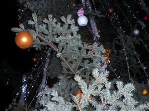 Рождество в Карпатах из Запорожья - <ro>Изображение</ro><ru>Изображение</ru> #1, <ru>Объявление</ru> #790536