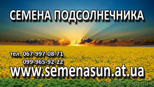 Семена подсолнечника, кукурузы pioneer, Syngenta 130$