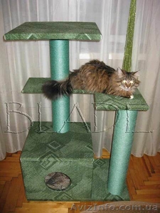 Домик для кошки (игровой комплекс на 3 этажа) - <ro>Изображение</ro><ru>Изображение</ru> #2, <ru>Объявление</ru> #861188