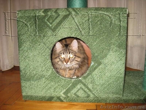 Домик для кошки (игровой комплекс на 3 этажа) - <ro>Изображение</ro><ru>Изображение</ru> #4, <ru>Объявление</ru> #861188