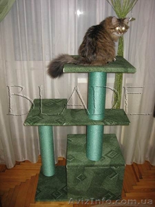 Домик для кошки (игровой комплекс на 3 этажа) - <ro>Изображение</ro><ru>Изображение</ru> #5, <ru>Объявление</ru> #861188
