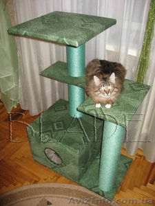 Домик для кошки (игровой комплекс на 3 этажа) - <ro>Изображение</ro><ru>Изображение</ru> #6, <ru>Объявление</ru> #861188