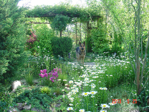 Парковый сад для посещений - <ro>Изображение</ro><ru>Изображение</ru> #2, <ru>Объявление</ru> #904358