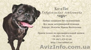 Ветеринарная клиника Днепропетровск. Вакцинация стерилизация кастрация хирургия 