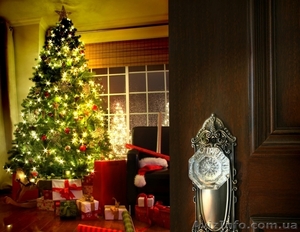 Доставка живых новогодних елок и сосен в дом, офис - <ro>Изображение</ro><ru>Изображение</ru> #1, <ru>Объявление</ru> #1006615