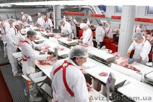  Пакувальник/ца на м'ясокомбінат в Польщу. Терміново! 