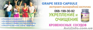 Экстракт виноградной косточки- Grape seed capsule (120 капс.)Тибемед. - <ro>Изображение</ro><ru>Изображение</ru> #1, <ru>Объявление</ru> #1087015