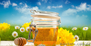 Закупаем мед оптом без антибиотика - <ro>Изображение</ro><ru>Изображение</ru> #1, <ru>Объявление</ru> #1298401