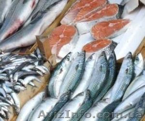 Продам замороженную рыбу в ассортименте  - <ro>Изображение</ro><ru>Изображение</ru> #1, <ru>Объявление</ru> #1314003