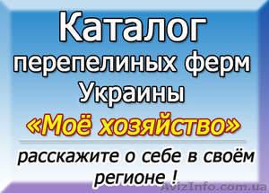Адреса перепелиных хозяйств в Украине