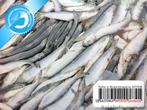 Салака балтийская свежемороженая оптом