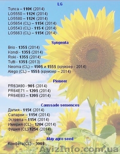 Семена подсолнечника,кукурузы,рапса  Украина Импорт  - <ro>Изображение</ro><ru>Изображение</ru> #2, <ru>Объявление</ru> #1474513