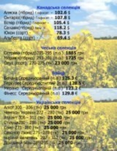 Семена подсолнечника,кукурузы,рапса  Украина Импорт  - <ro>Изображение</ro><ru>Изображение</ru> #1, <ru>Объявление</ru> #1474513
