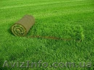 Рулонный газон зеленый - <ro>Изображение</ro><ru>Изображение</ru> #2, <ru>Объявление</ru> #1483504