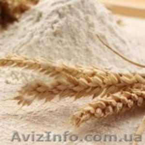 Мука пшеничная первого сорта - <ro>Изображение</ro><ru>Изображение</ru> #1, <ru>Объявление</ru> #1509205
