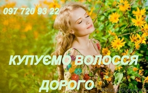 Купуємо волосся. Продати волосся дорого. Вся Україна. - <ro>Изображение</ro><ru>Изображение</ru> #1, <ru>Объявление</ru> #1581715