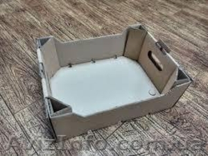Картонный лоток под ягоду и фруктов 