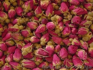 Куплю чайную розу в свежем или сухом виде - <ro>Изображение</ro><ru>Изображение</ru> #2, <ru>Объявление</ru> #1617124