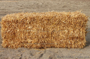 Доставка  пшеничной Соломы в тюках по Запорожью. - <ro>Изображение</ro><ru>Изображение</ru> #3, <ru>Объявление</ru> #1640273