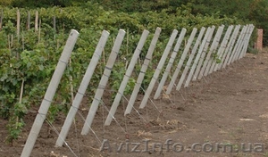 Железобетонные столбы для винограда малины Запорожья. - <ro>Изображение</ro><ru>Изображение</ru> #1, <ru>Объявление</ru> #1643345