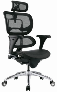 Компьютерное Кресло Ergohuman Standart черное, полированное - <ro>Изображение</ro><ru>Изображение</ru> #2, <ru>Объявление</ru> #1666906
